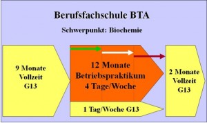 Überblick über den Ausbildungsverlauf